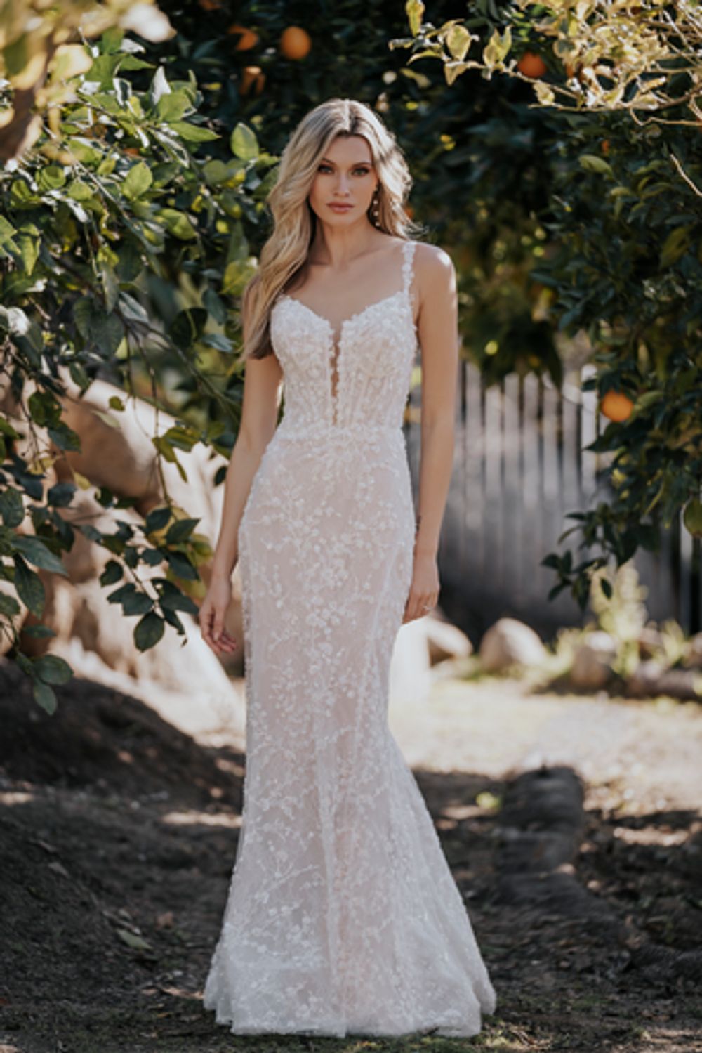 A1154 by Allure Bridal